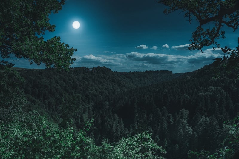 Enchanted Moonwort